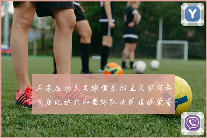 石家庄功夫足球俱乐部正式宣布希戈尔比达尔加盟球队共同追逐荣誉