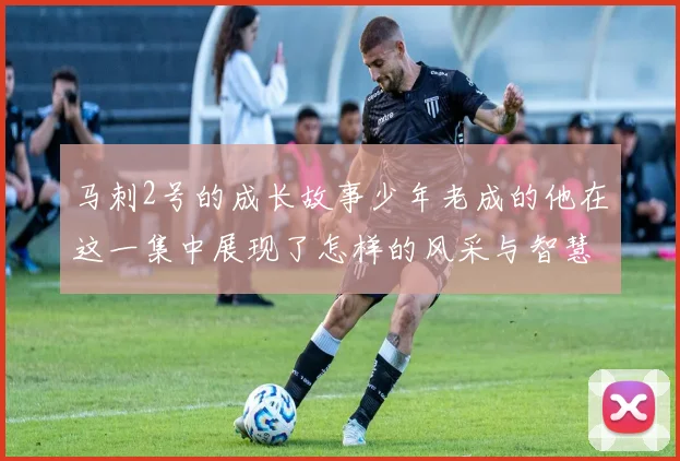 马刺2号的成长故事少年老成的他在这一集中展现了怎样的风采与智慧