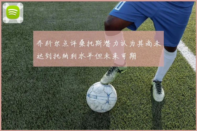 乔科尔点评桑托斯潜力认为其尚未达到托纳利水平但未来可期